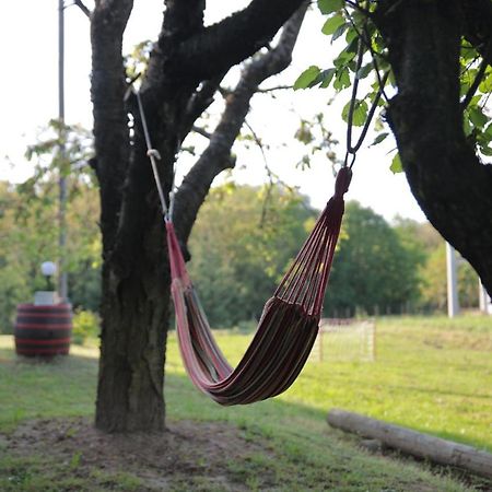 Apartment Amigo Sirova Katalena 外观 照片